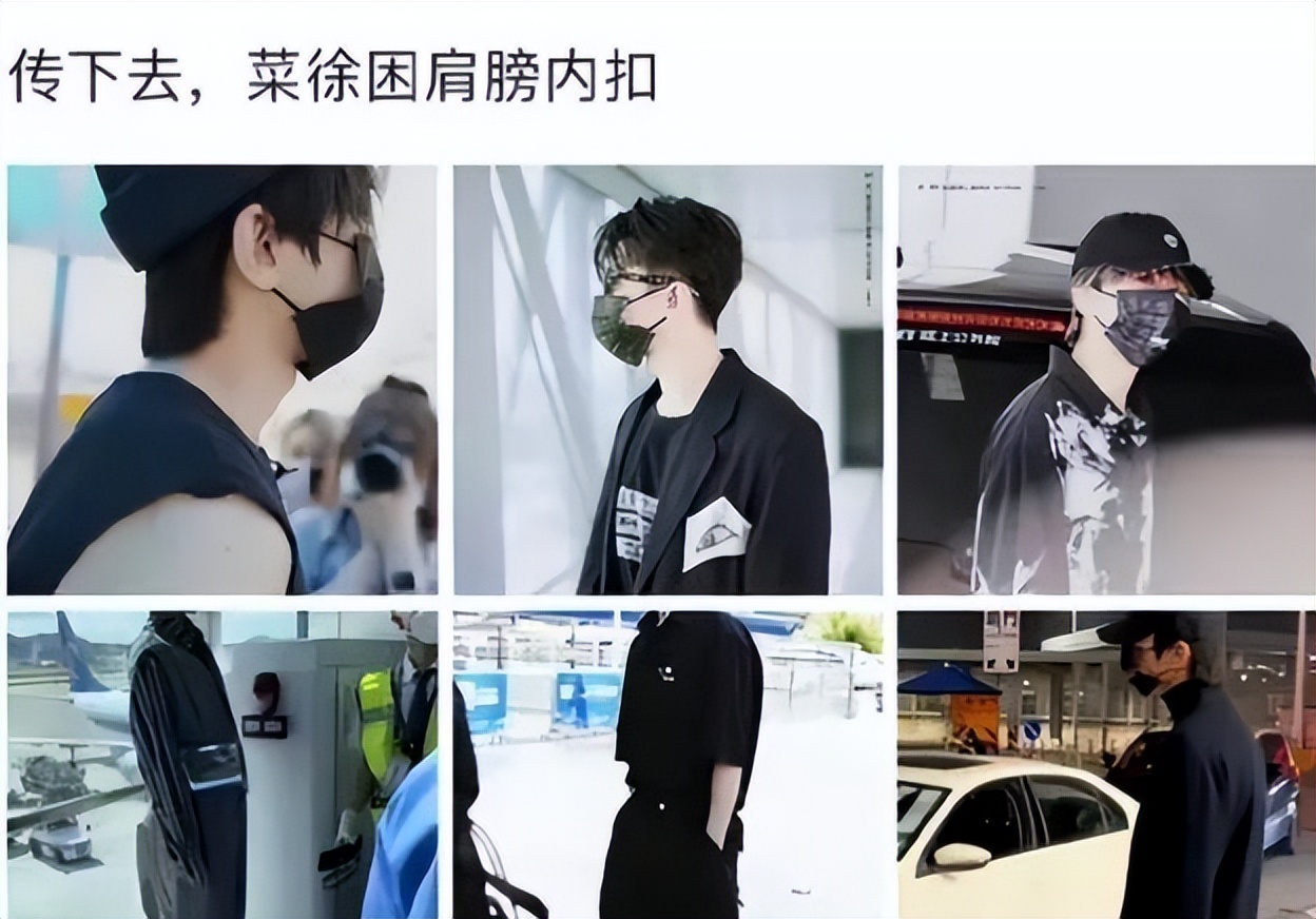 罗晋陈乔恩精彩片段,罗晋李一桐回应