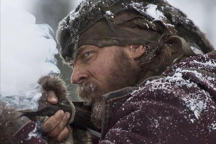 电影荒野猎人表达了什么,电影荒野猎人主要讲的什么