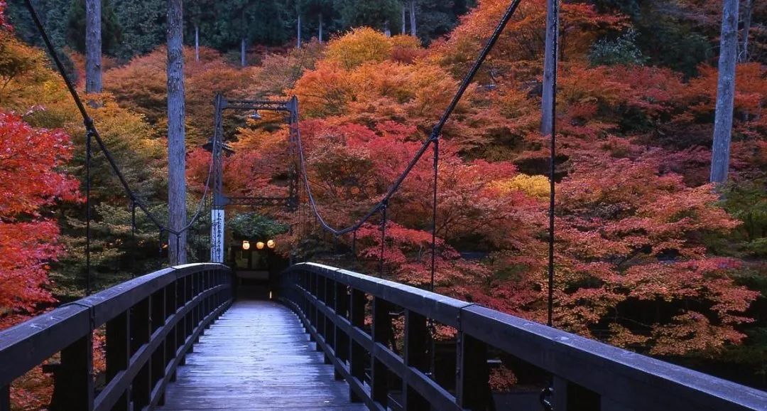 浜兘閰掑簵鎺ㄨ崘鏃ュ紡,浜兘鏃ュ紡鏃呴鎺ㄨ崘
