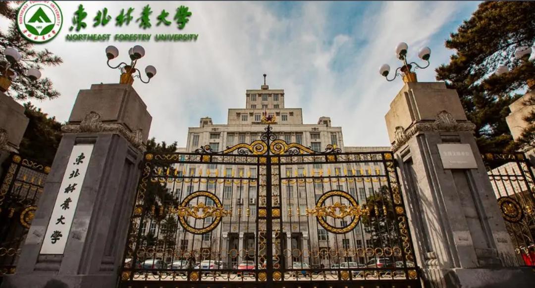 山东省211大学名单排名及分数线,山东美术生211大学录取分数线