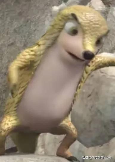 熊出没最厉害的角色,熊出没历代角色大全