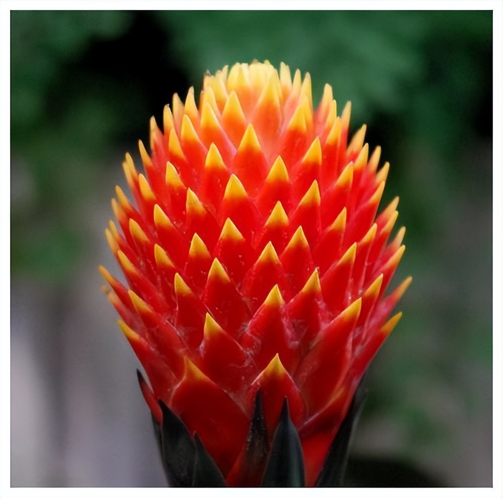 南美的什么地方秘鲁玻利维亚,南美玻利维亚介绍