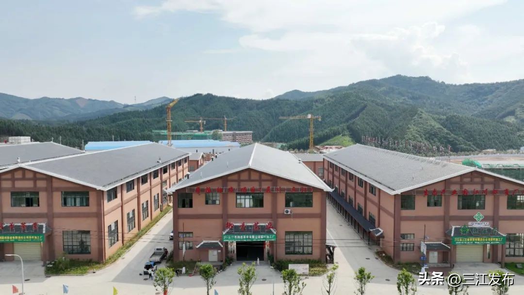 乡村振兴与脱贫攻坚衔接工作思路,茶产业助推脱贫攻坚座谈会