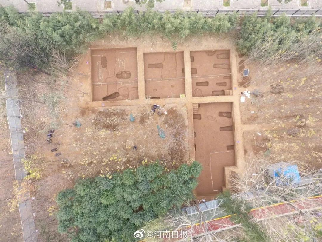 奥密克戎新乡,广东发现境外输入奥密克戎病例