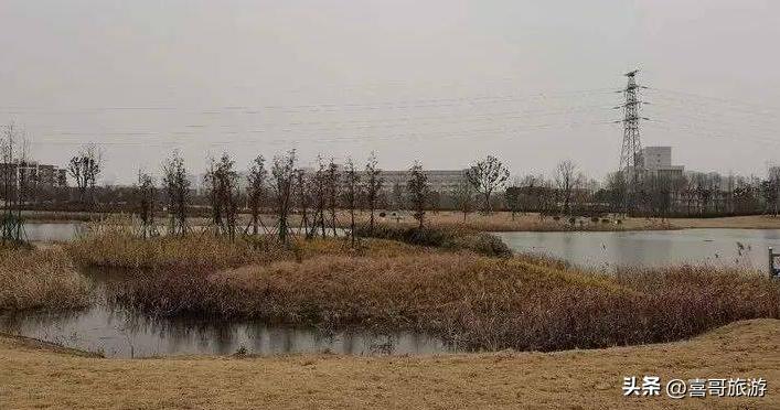 幻塔人工岛风景点位置在哪里,幻塔人工岛怎么去