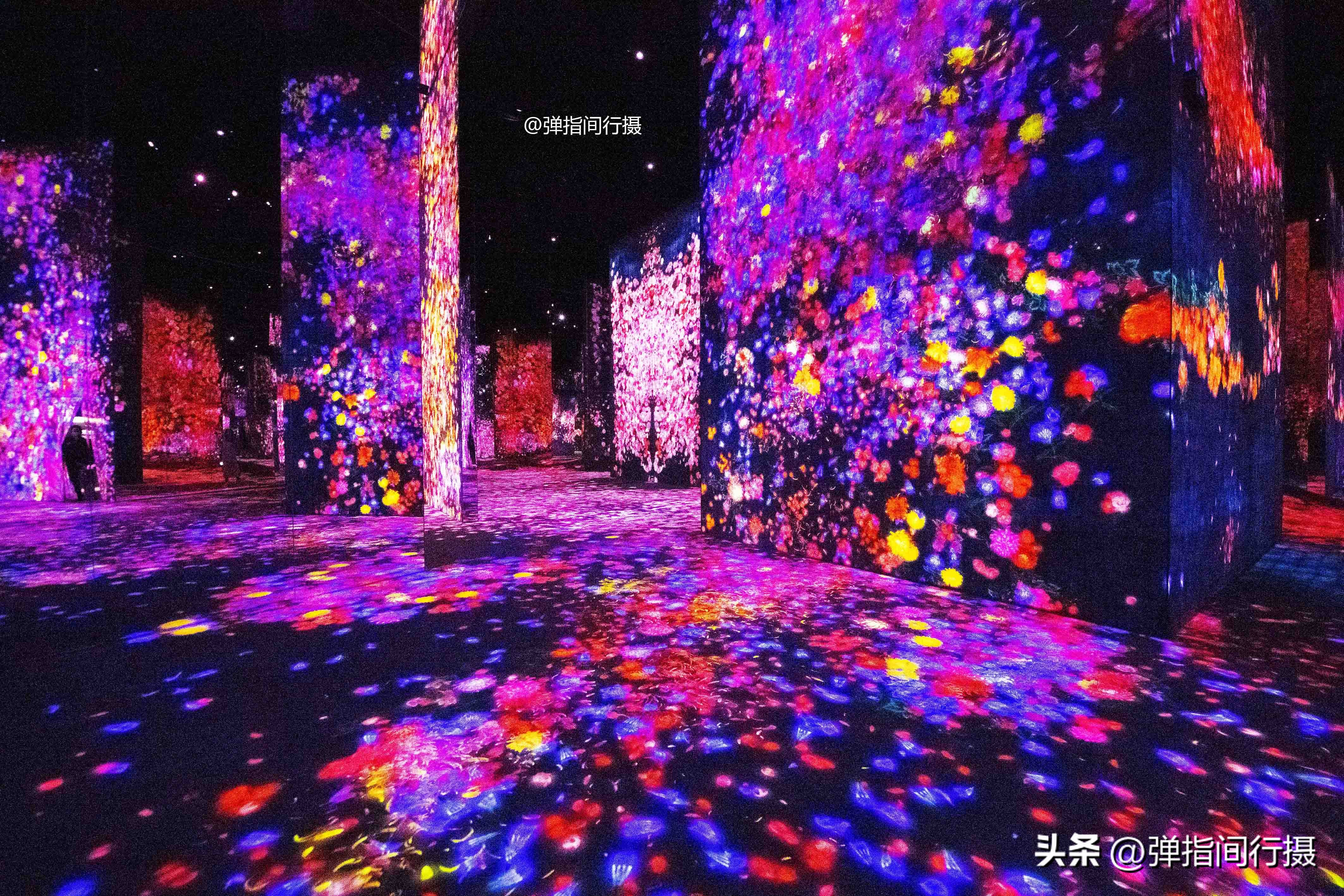 澳门旅行全攻略,澳门旅游一天攻略自由行