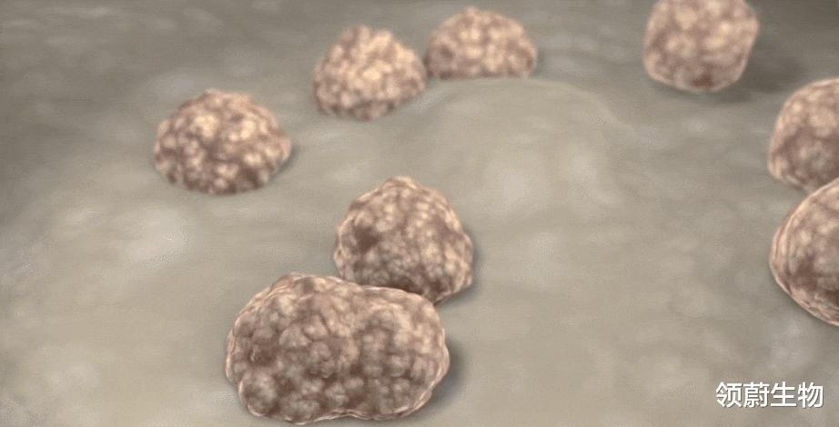 肿瘤与免疫的故事,肿瘤免疫治疗十大案例