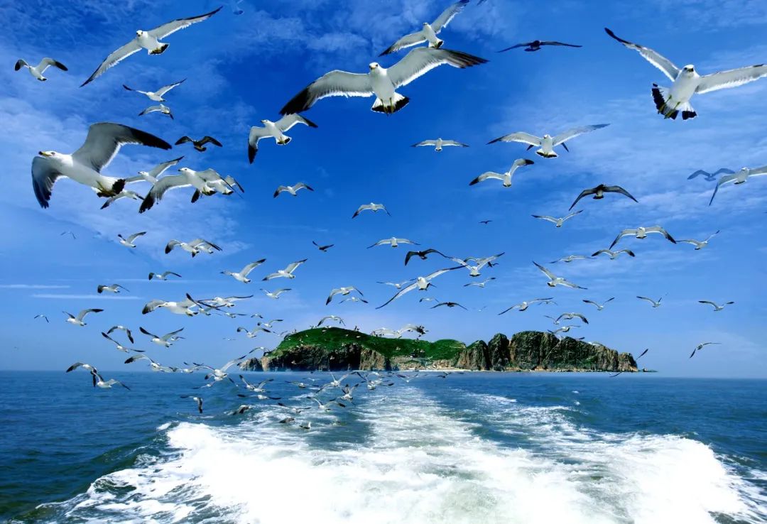 519中国旅游日辽宁,519中国旅游日广东