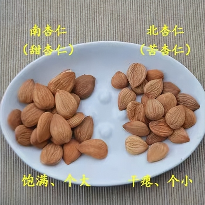 杏仁具有润肠通便的功效,杏仁怎么制才能入药