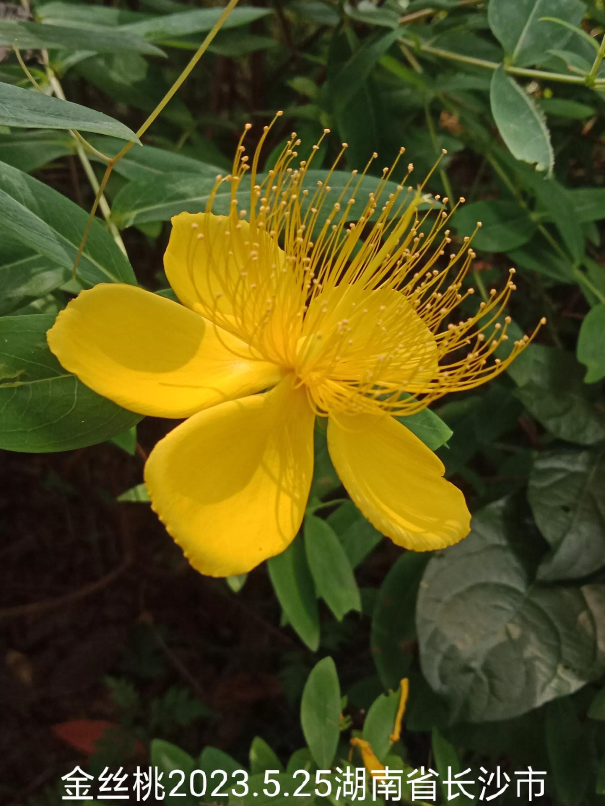 怎么找回没保存丢失的微信群,怎么找回没有保存的微信群