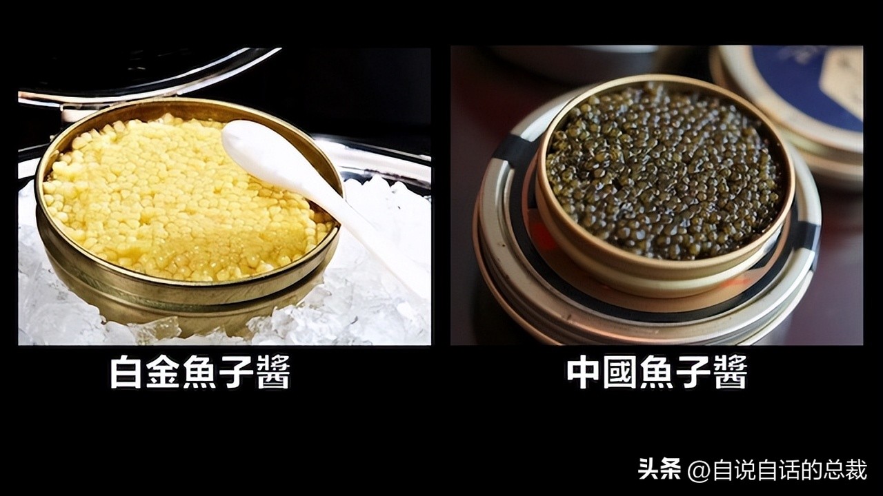 从2亿年不进化的王者，到比黄金还贵的食物，背后隐藏着商业秘密