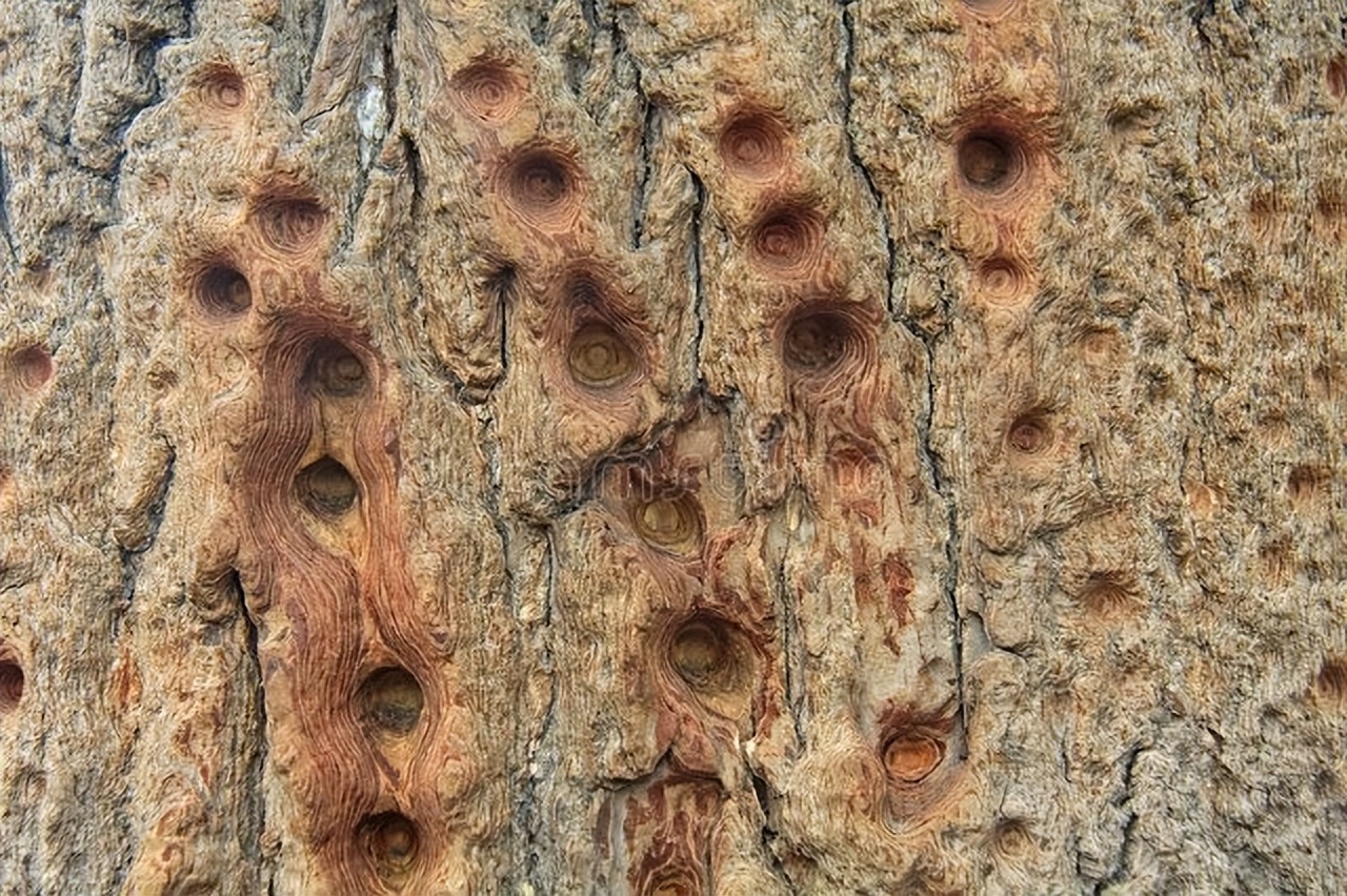 禅宗祖庭少林寺美篇,禅宗祖庭少林寺攻略