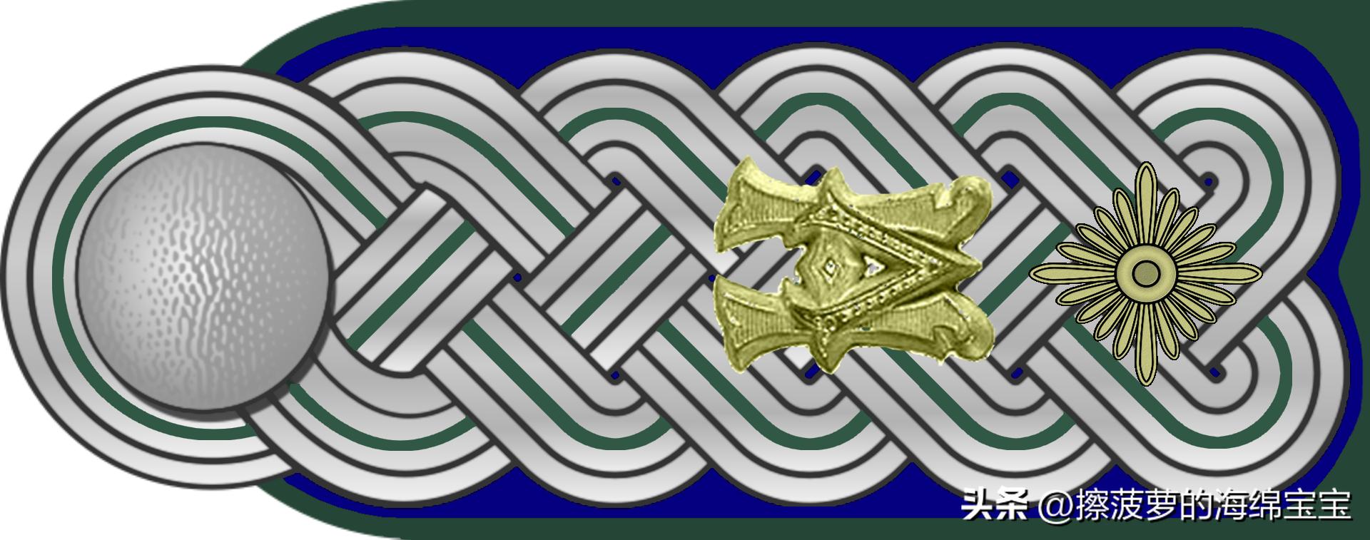 二战德国国防军医疗兵军衔标志