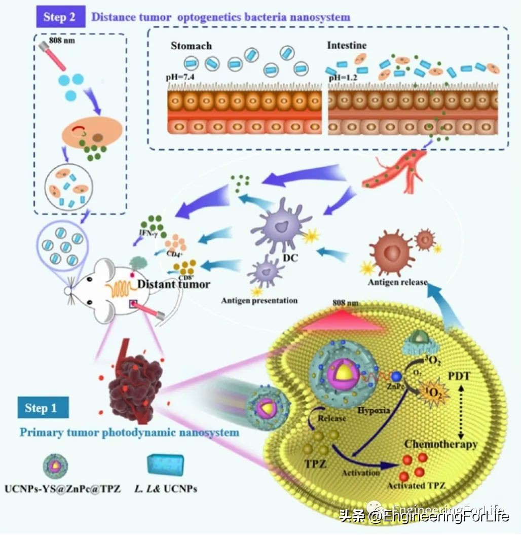转换思维在生活中的运用,水凝胶纳米粒子
