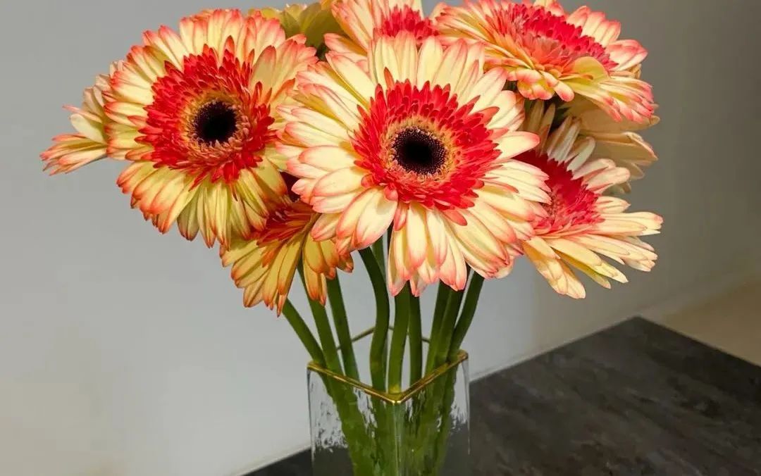 新手必看鲜花养护攻略,鲜花在水里能养几天会死