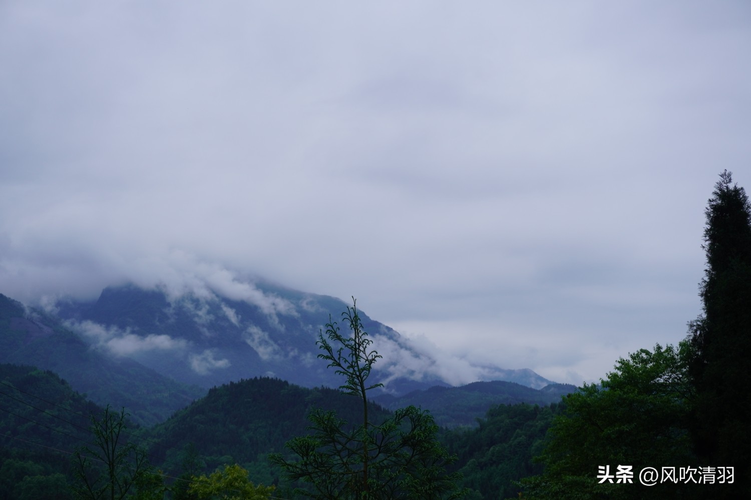 青城山度假避暑好地方,成都附近度假避暑便宜的好地方