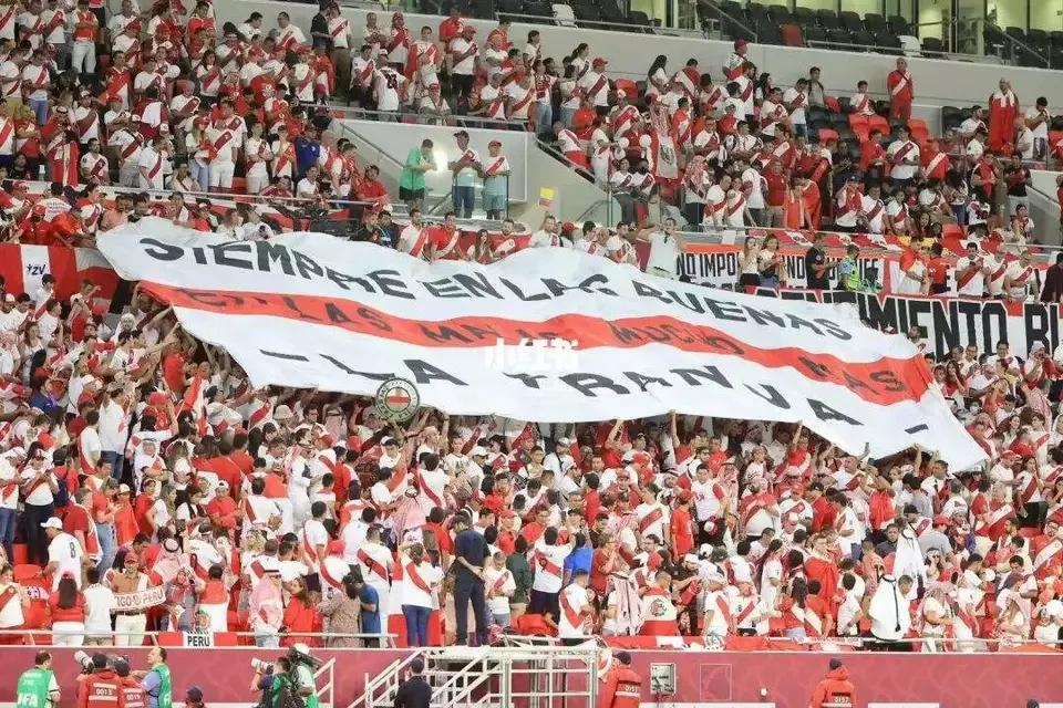 世界杯多少人在看,世界杯几万人现场看球赛