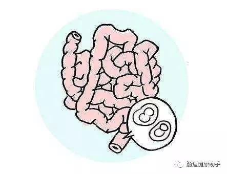 便秘不花钱的小妙招,便秘不用药通便有妙招