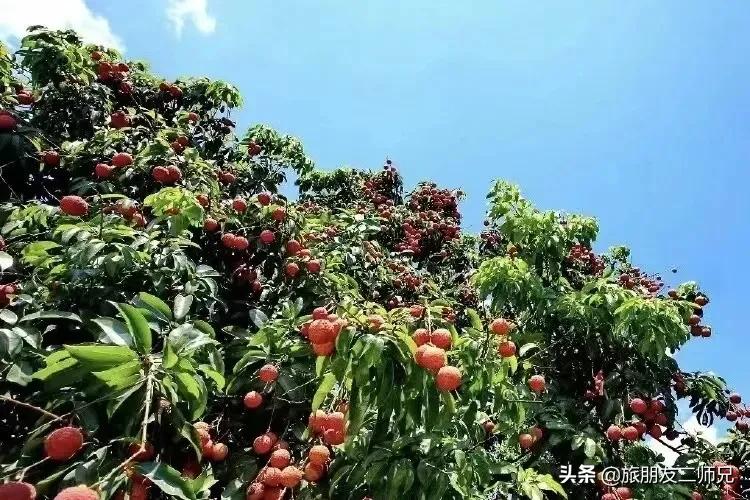 南平静修小镇凤溪玩水,南平静修小镇凤溪玩水区订票