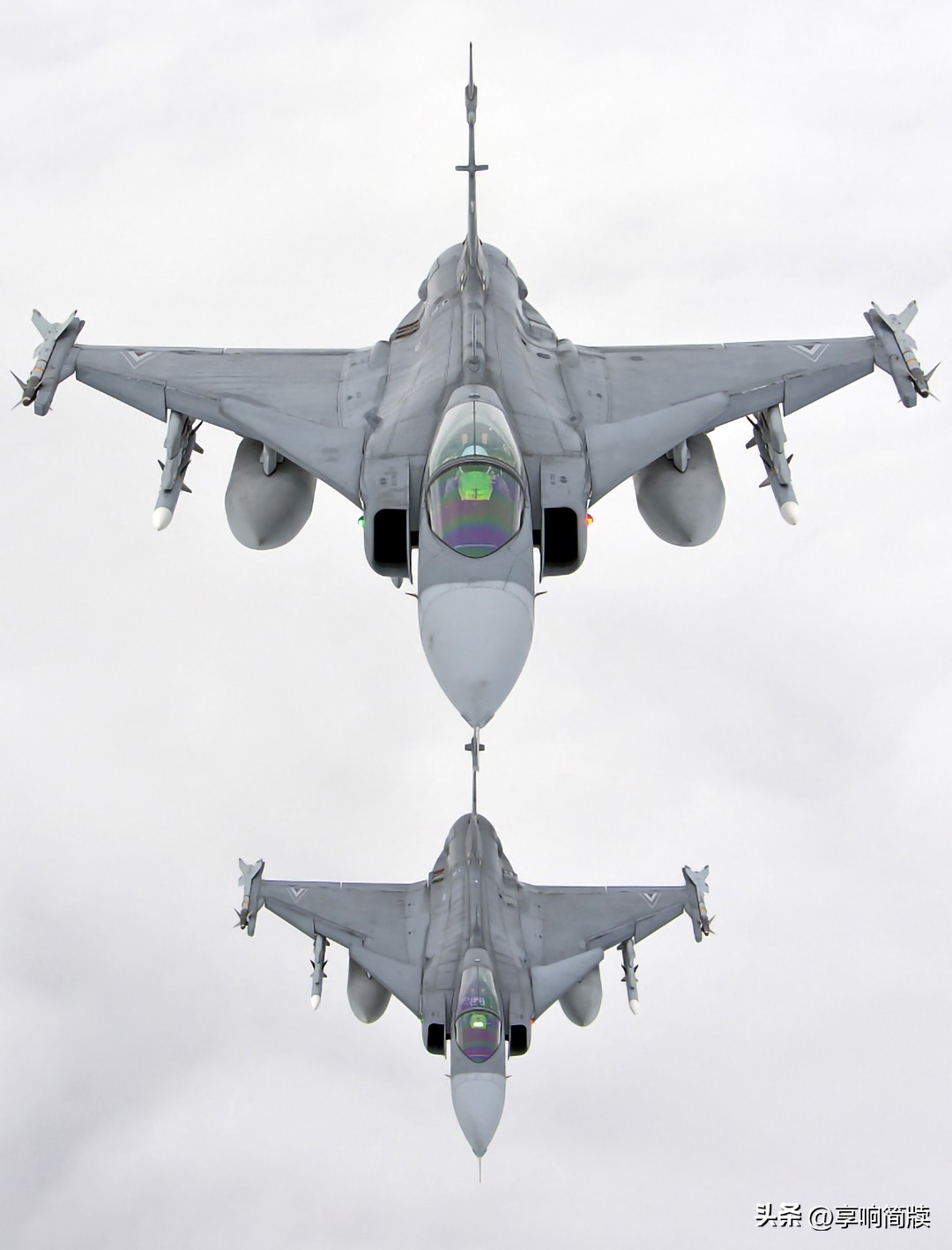 jas39鹰狮战机是中国的吗,jas-39鹰狮对比歼10