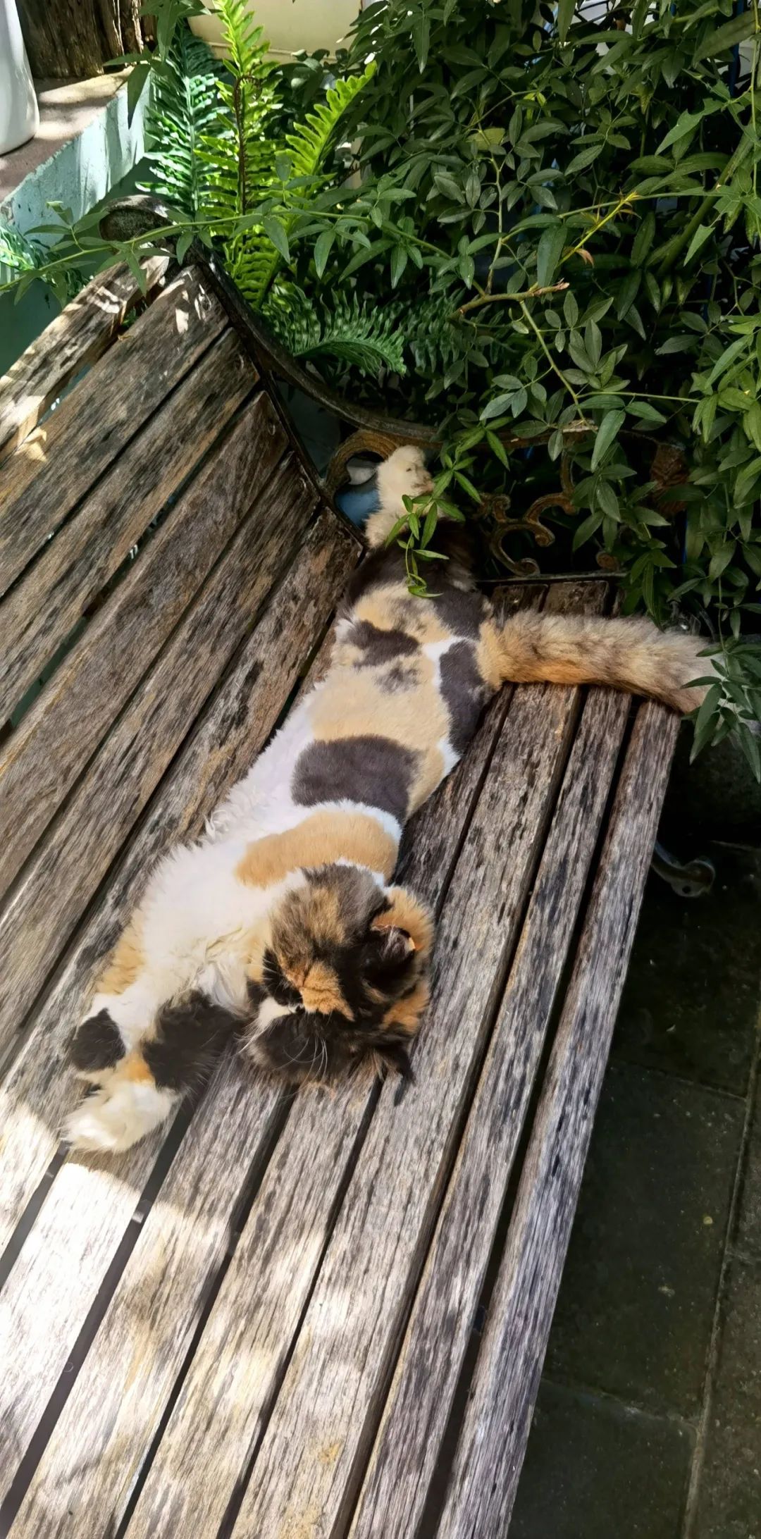 严查春节档电影互撕,春节档电影互撕