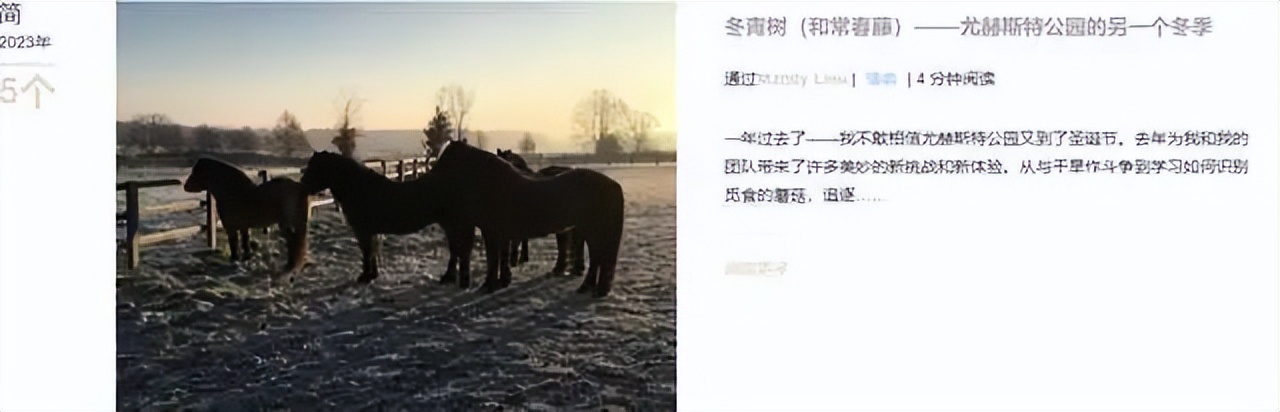 洗米华判刑18年，监狱生活曝光！长子仍游迪拜继续享受