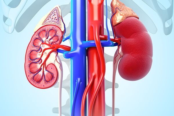 过敏性紫癜肠套叠并发症治疗,过敏性紫癜会不会导致血管炎