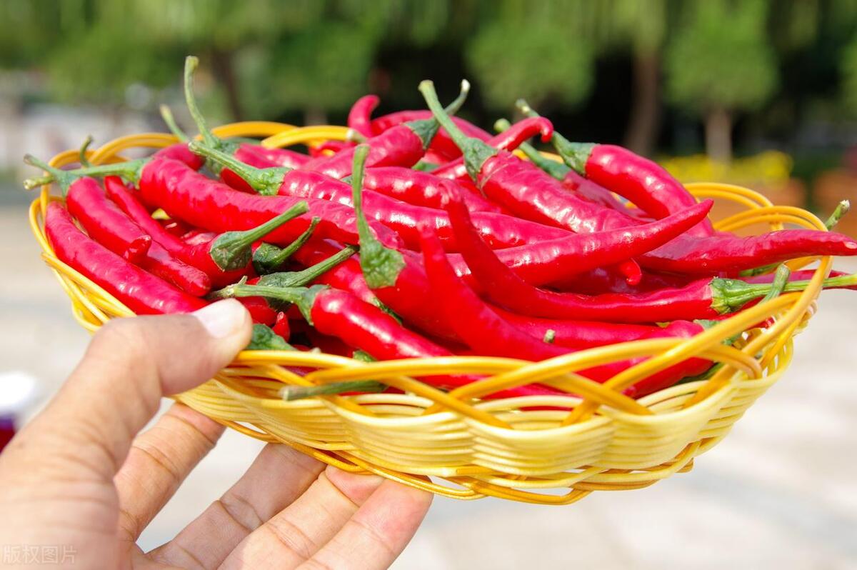 邯郸有名的特产和小吃,邯郸的独特特产有哪些