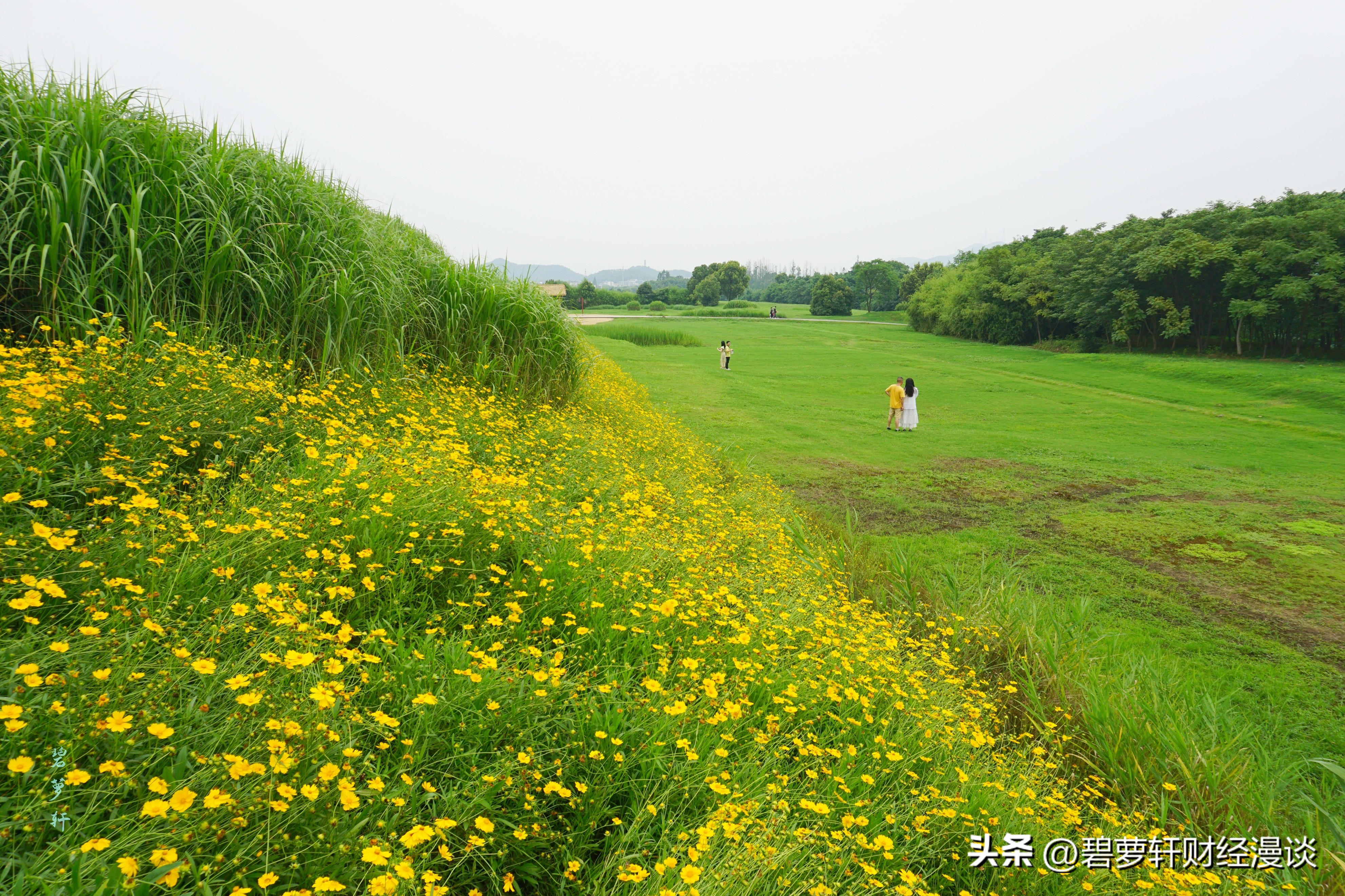 穿越5000年漫步良渚古城遗址公园,穿越千年探秘南粤