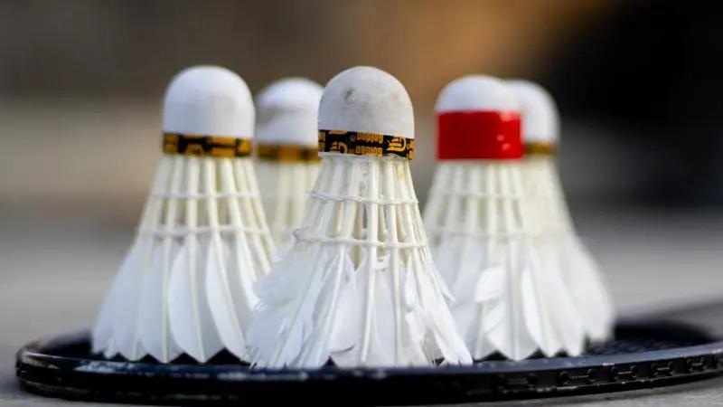 60岁经常散步有什么效果,经常散步对身体健康有益