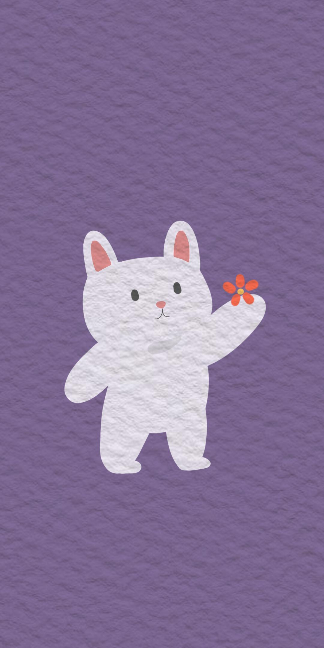 手机型号壁纸图片,169手机壁纸尺寸