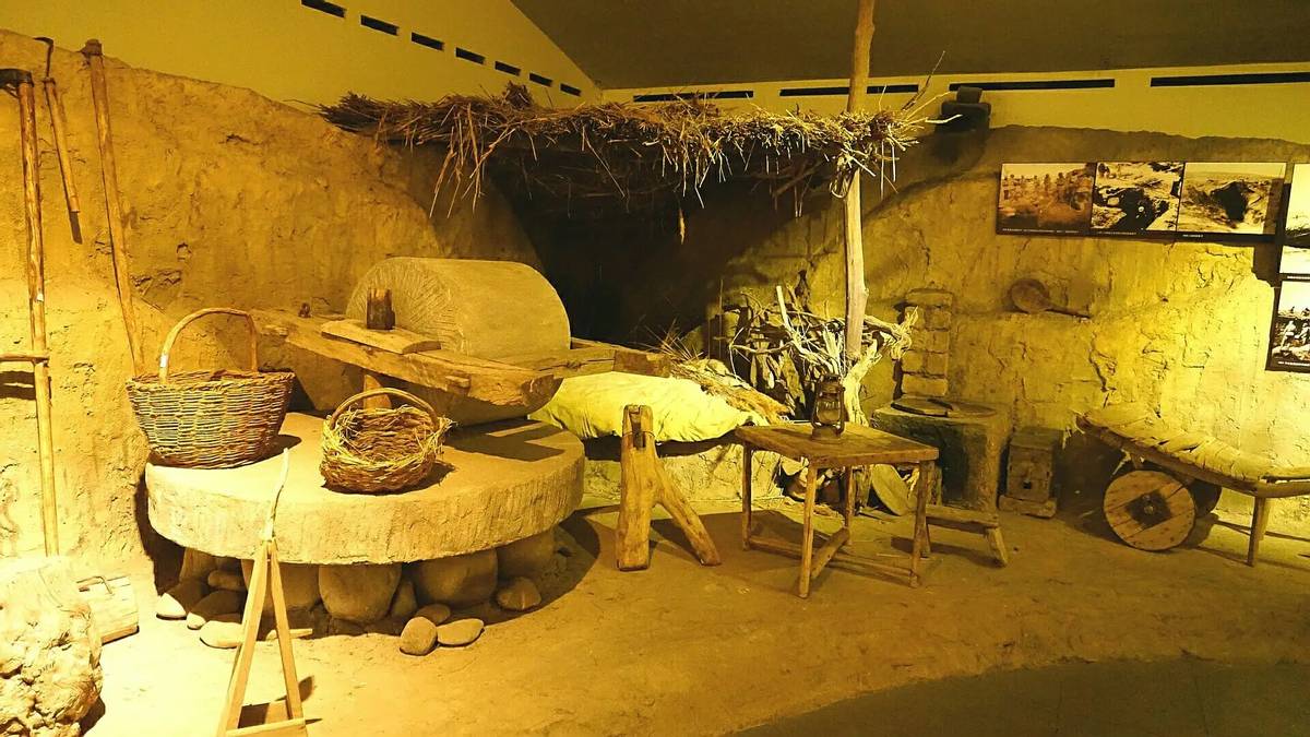 我，*疆新**兵二代，63岁去认亲，结果竟然意想不到