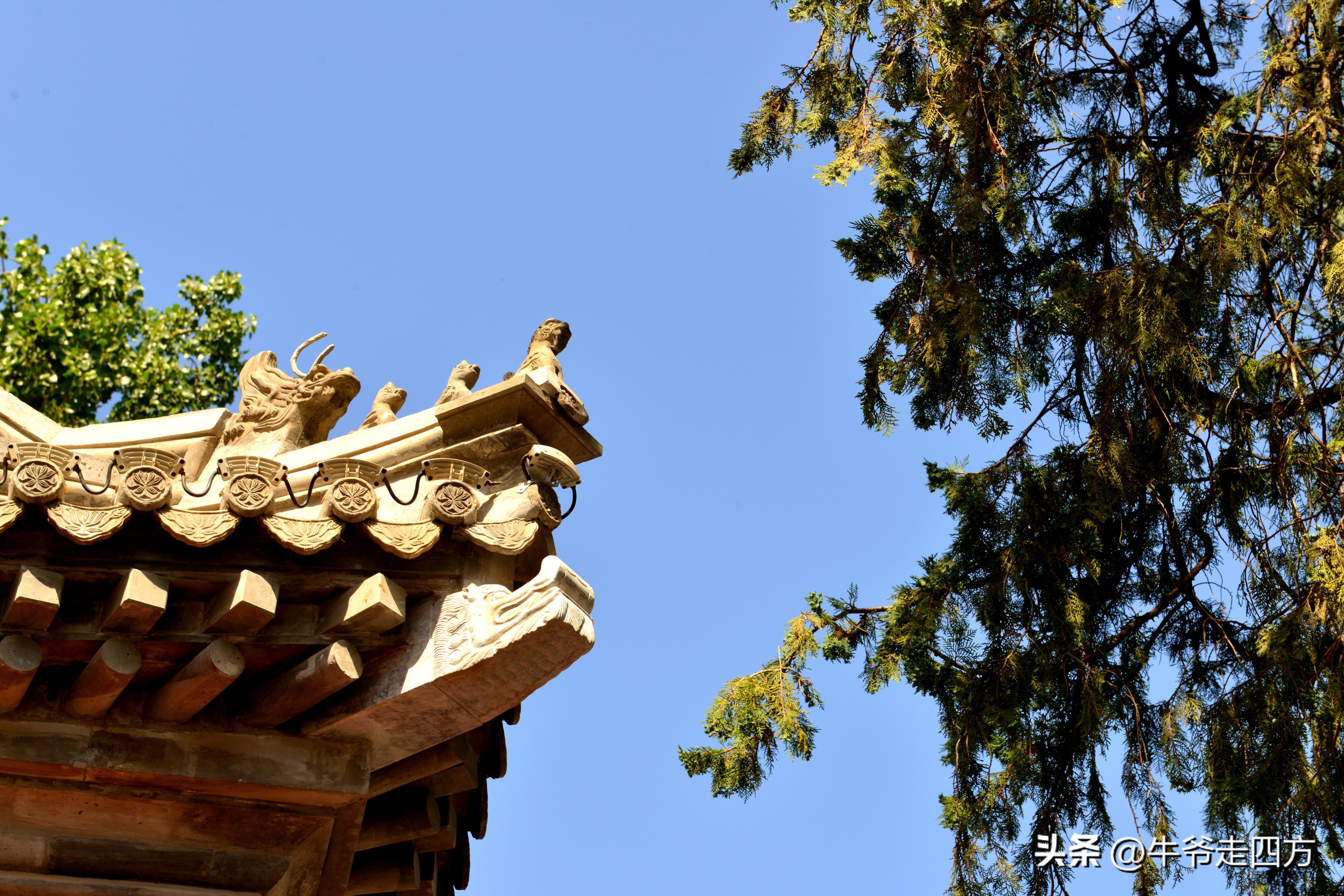 鍖椾含閲戠煶鍗氱墿棣嗗簡浜戝闂ㄧエ,閲戠煶鍗氱墿棣嗗簡浜戝