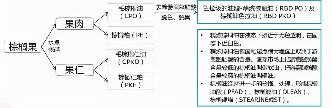 方便面不健康是因为面饼还是调料,为什么说方便面不健康