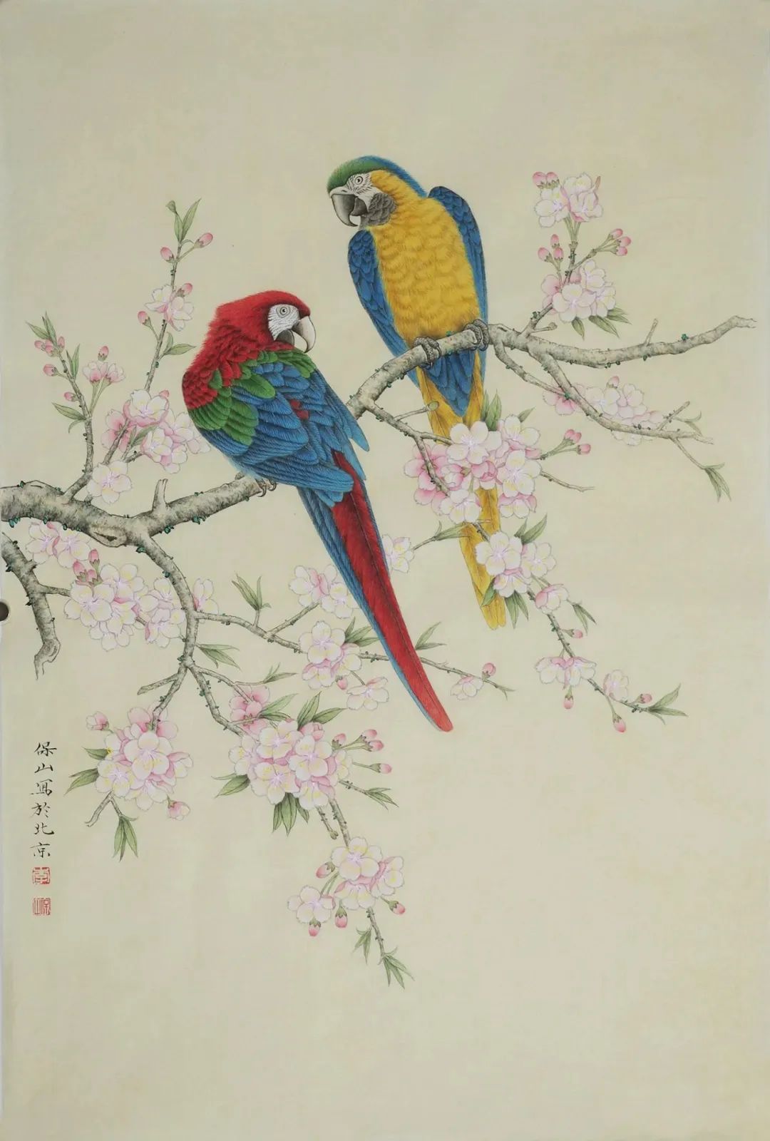 工笔画鹦鹉技法大全,工笔鹦鹉的画法和视频