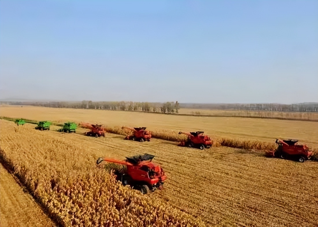 中国人对粮食安全的重视程度,为什么要时刻重视粮食安全