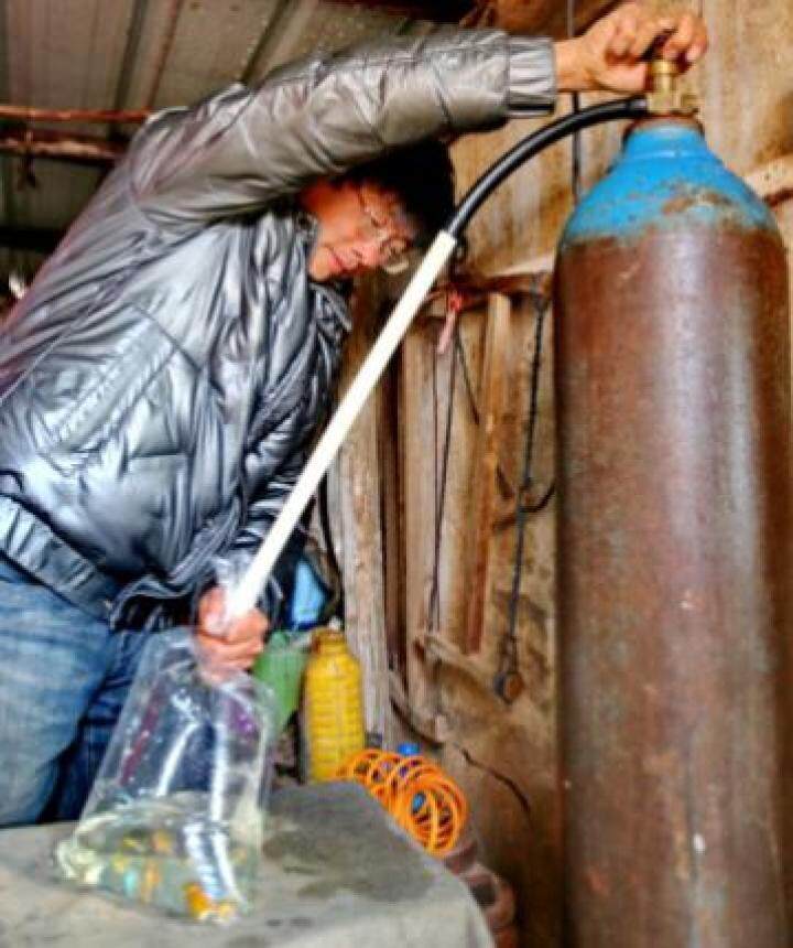 养殖观赏鱼做副业,养殖热带鱼致富