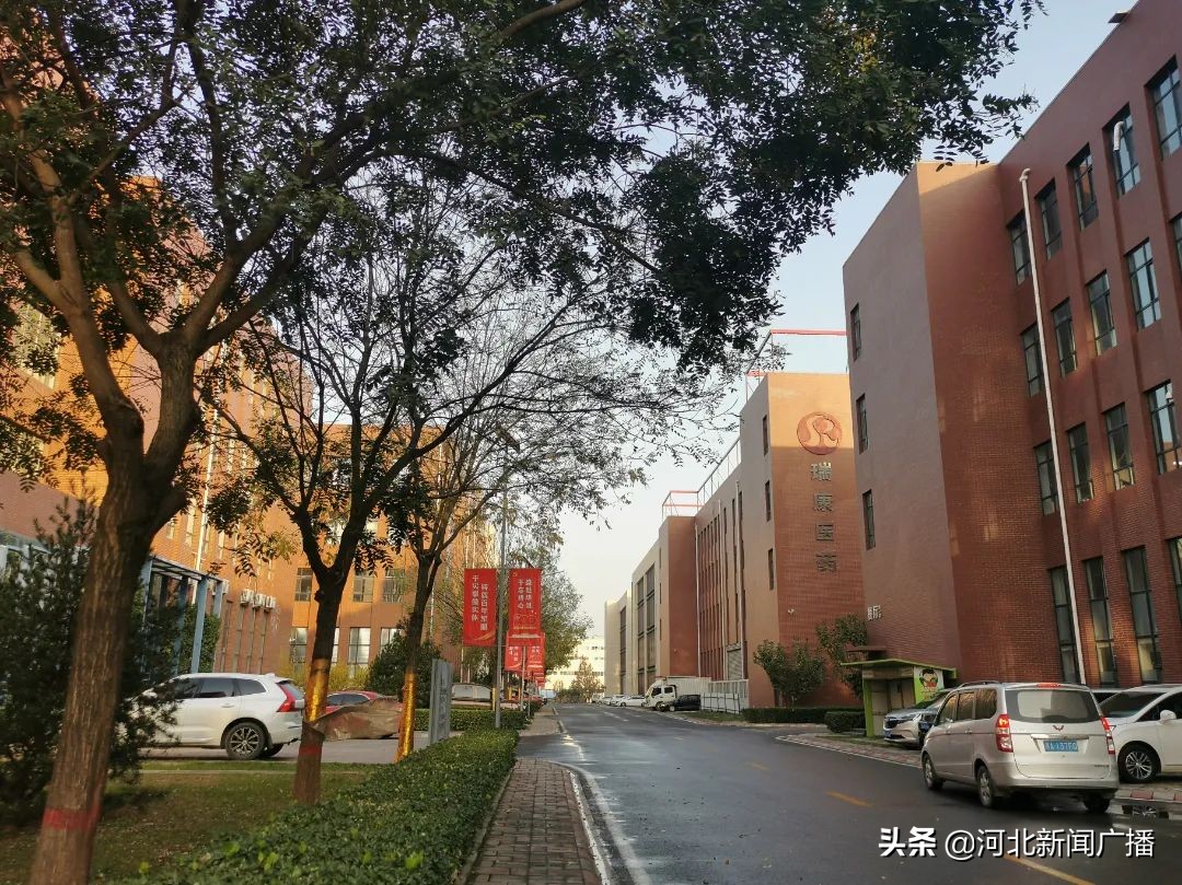 科技园是干嘛的通俗解释,科技园到底是干什么的