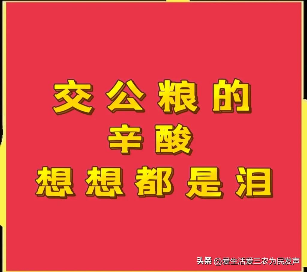 交公粮农民辛酸的诗词,交公粮时候农民苦吗