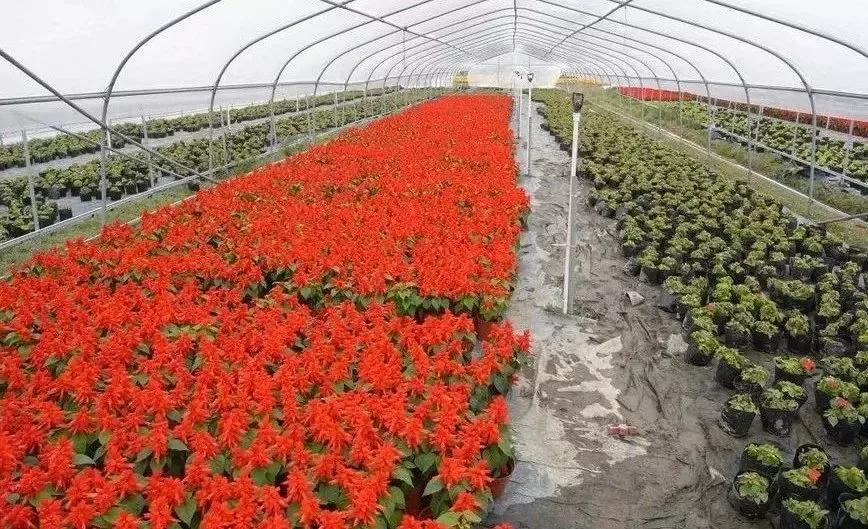 农村未来10年暴利行业,一个人农村乡镇独门暴利生意