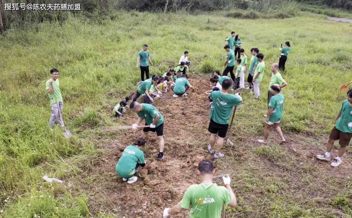 重新认识中医系统关于“大健康”的概念