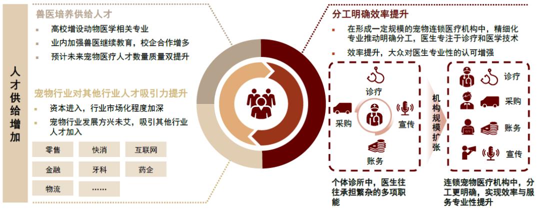 中金•联合研究|宠物全产业链研究：萌宠来袭，长坡厚雪