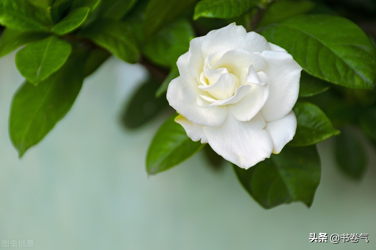 对你有好感的女生会接你语音吗,女人对你有好感会说这三个话