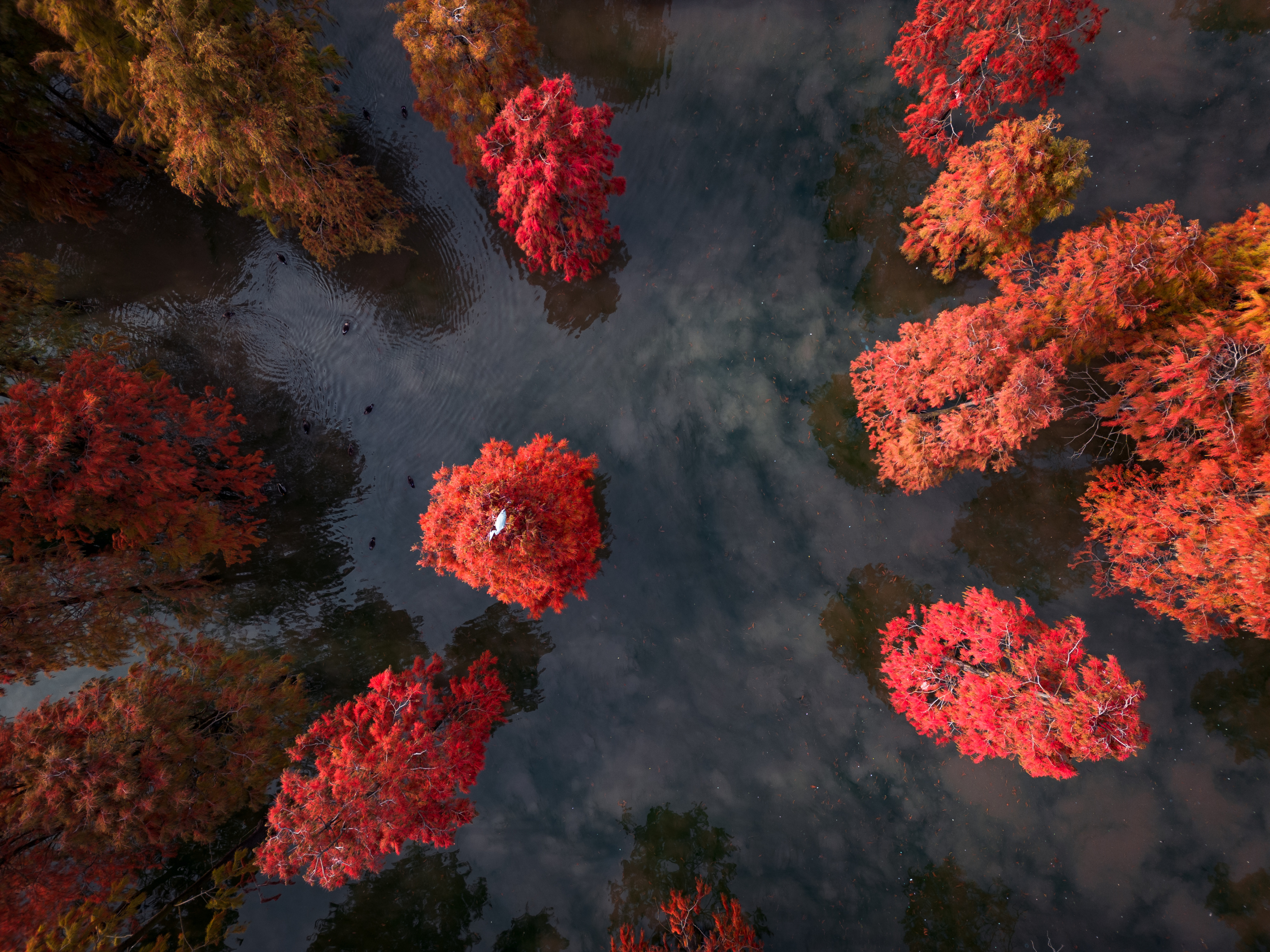 苏浙皖赣的旅游景点有多少,苏皖旅游景点推荐