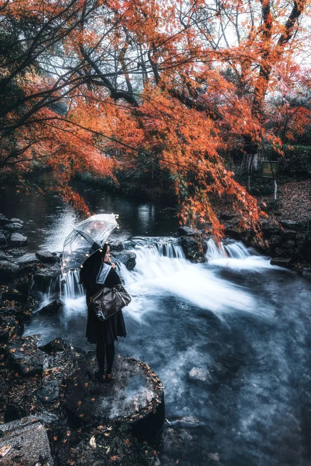 这还是你认识的合肥吗,这还是你认识的蜜雪冰城吗