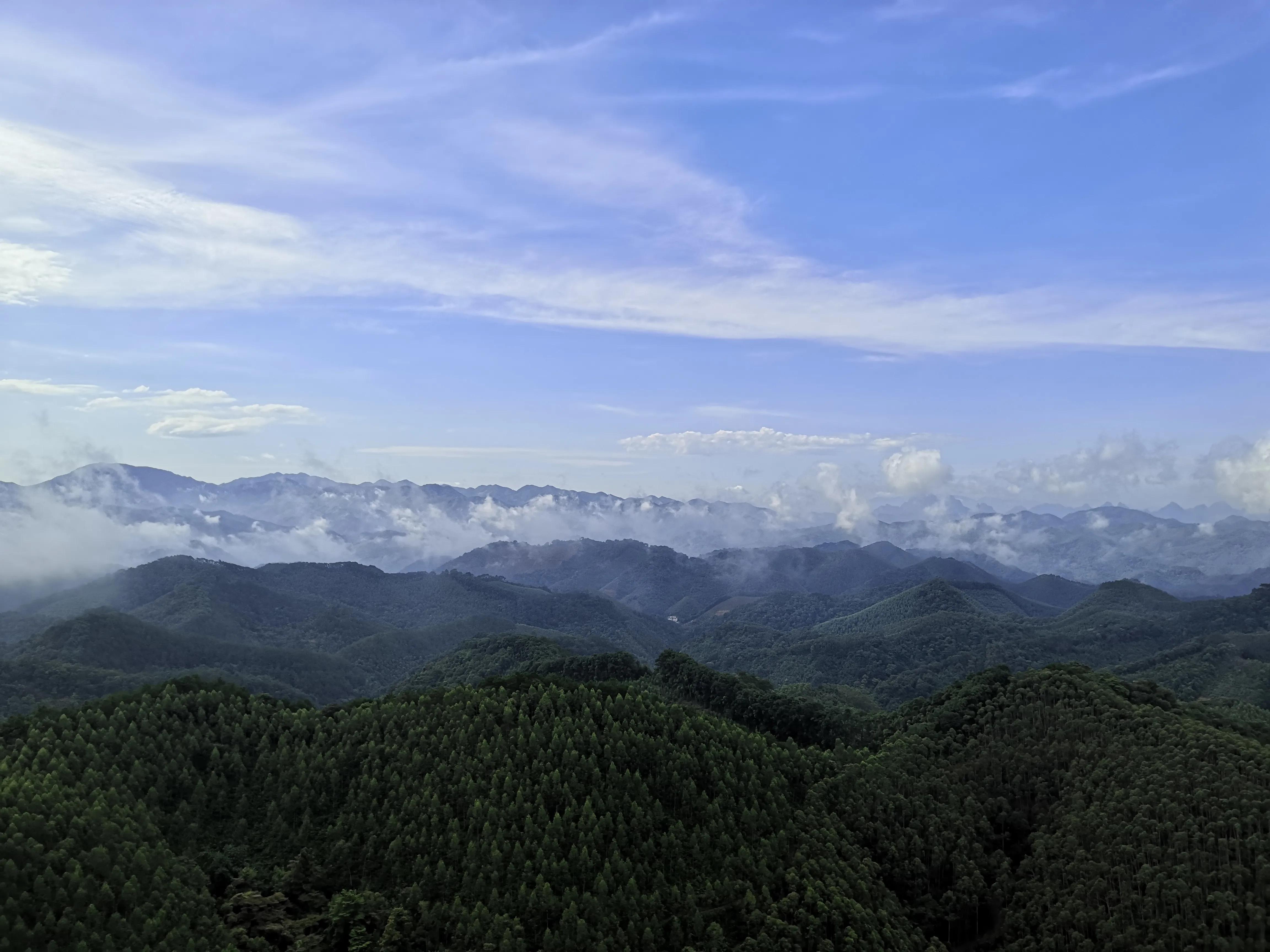 探秘原始森林的真实过程,揭露森林背后的真相