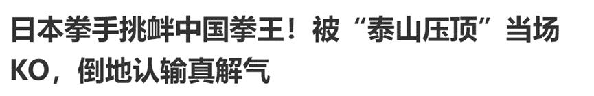 张伟丽格斗视频全集完整版,张伟丽是中国格斗第一人吗