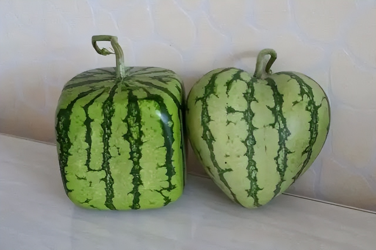 农产品加工如何破局,农产品同质化产品