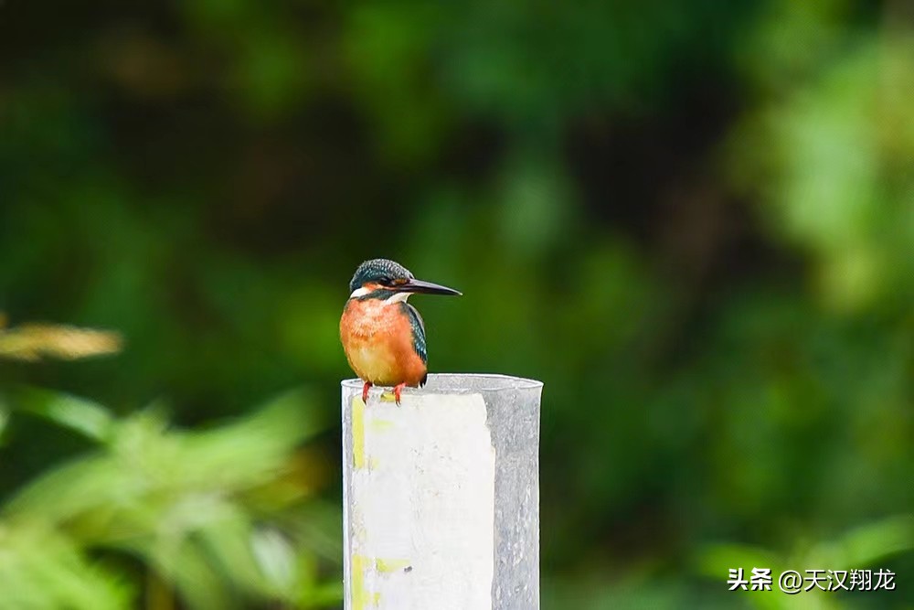 “丧气脱口秀”杨波：生活不易，开心就好