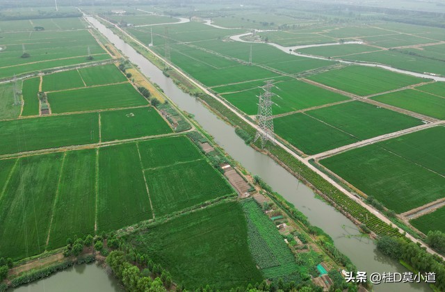 农村到底怎么发展农村才能富起来,农村里怎么发展好